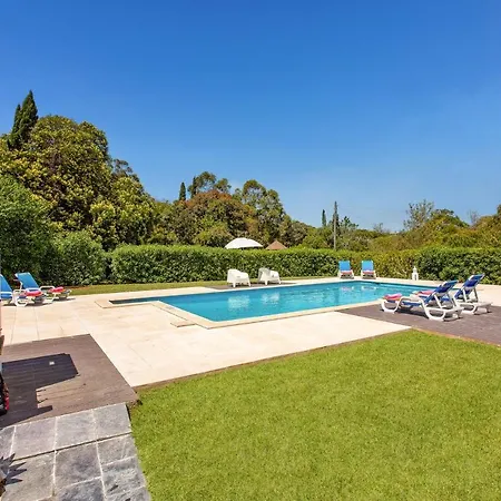 Figueiras By Lagoa (Algarve)